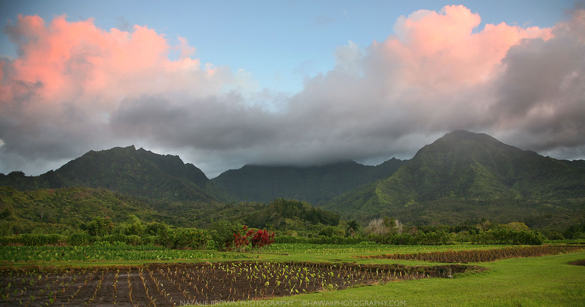 Hawaii Landscape Photography - Buy Hawaii Photos