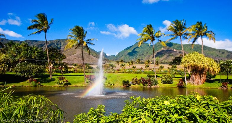 Maui Tropical Plantation Zipline