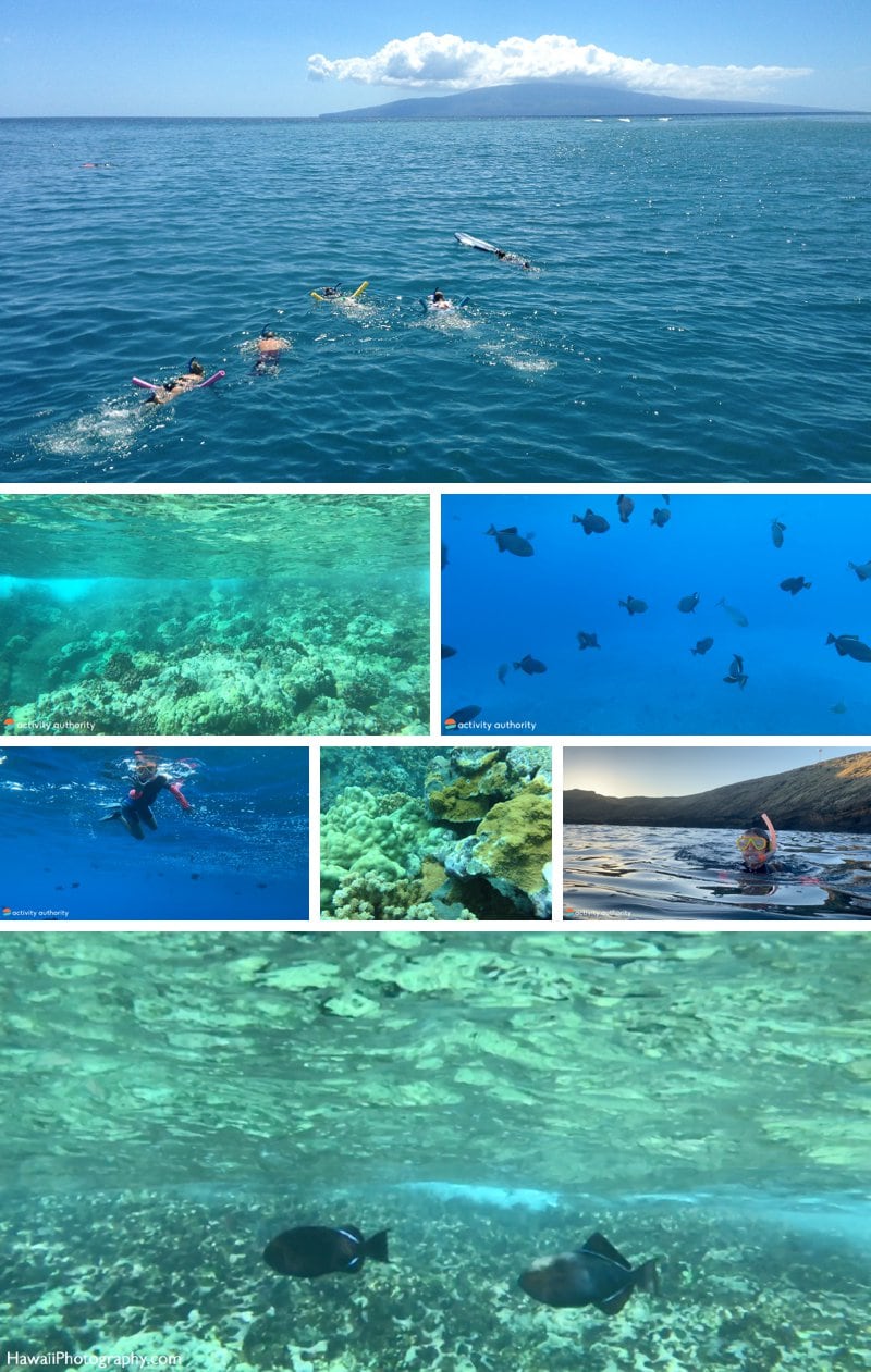 Maui snorkeling spots
