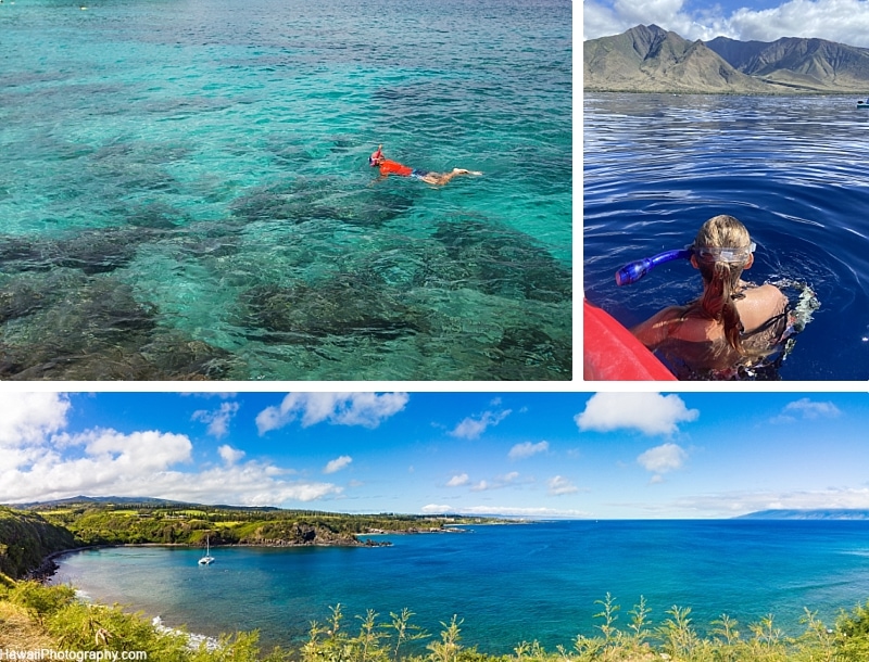 Maui Expectations Vs Reality Snorkel
