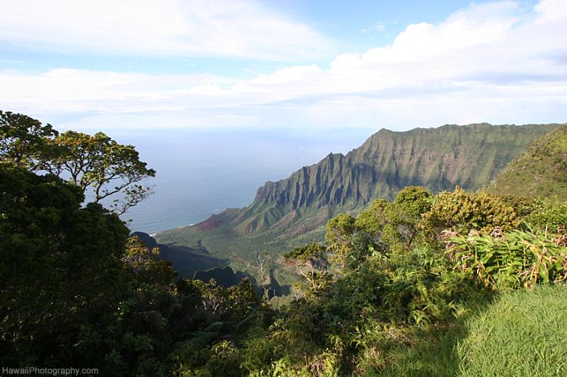 Kauai Maui Comparison Hike Na Pali Coast