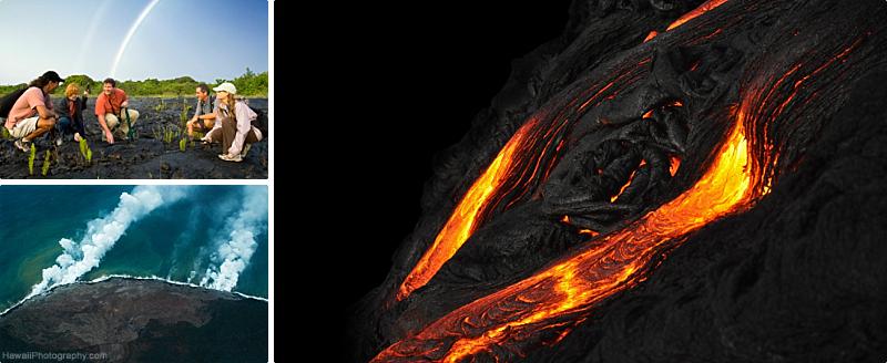 Hawaii Island Tours Volcano